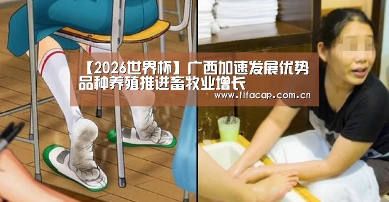 【2026世界杯】广西加速发展优势品种养殖推进畜牧业增长(图1) fifa word cup