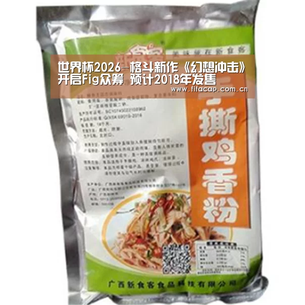 世界杯2026-格斗新作《幻想冲击》开启Fig众筹 预计2018年发售